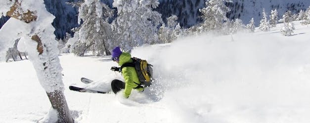 Experiência de slalom e esqui alpino